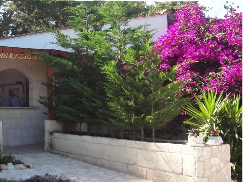 Althea Village Residence 비에스테 객실 사진