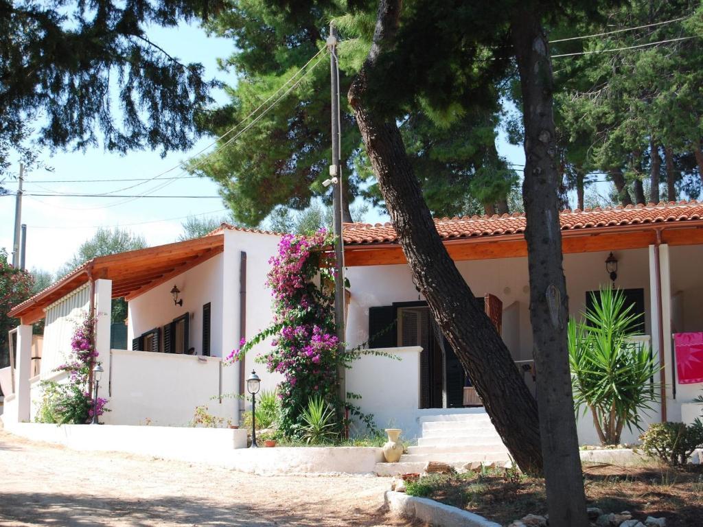 Althea Village Residence 비에스테 객실 사진
